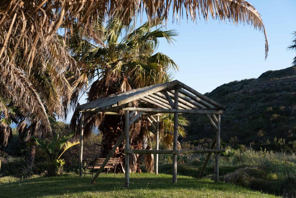 Koka nojume pie palmu koku grupas pie Quinta do Mar Country & Sea Village