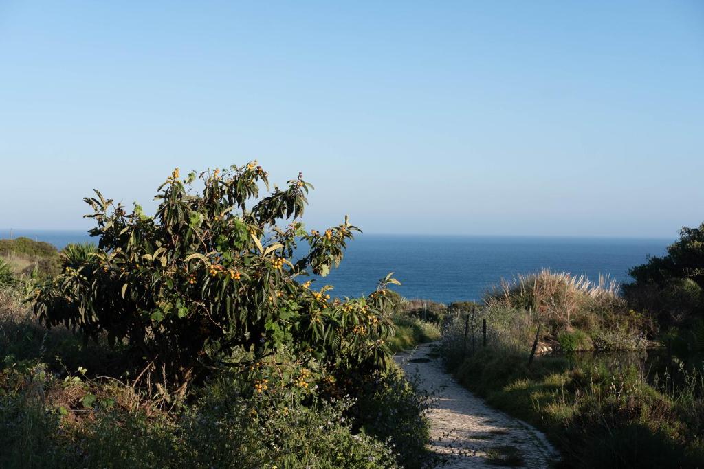 Daba pie Quinta do Mar Country & Sea Village, ceļš uz piekrasti.