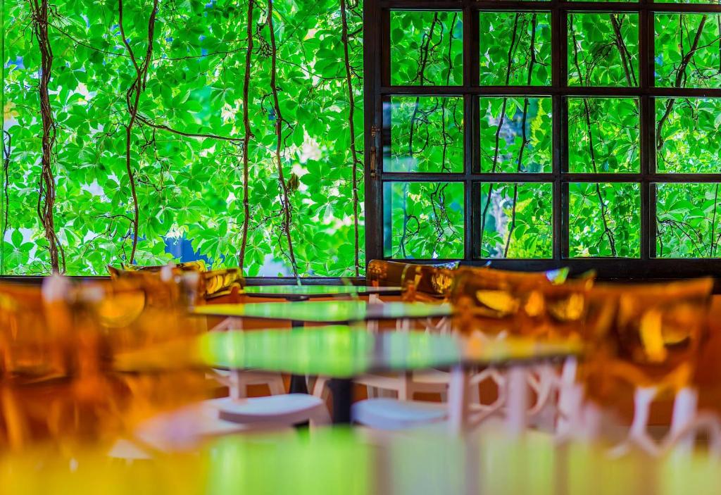 Gaišs un mūsdienīgs restorāns ar koka logiem, caur kuriem redzamas sulīgas zaļās lapas, kas piešķir telpai svaigumu un dzīvīgumu. Galdi ir ar spīdīgu virsmu un oranžiem krēsliem, radot siltu atmosfēru.