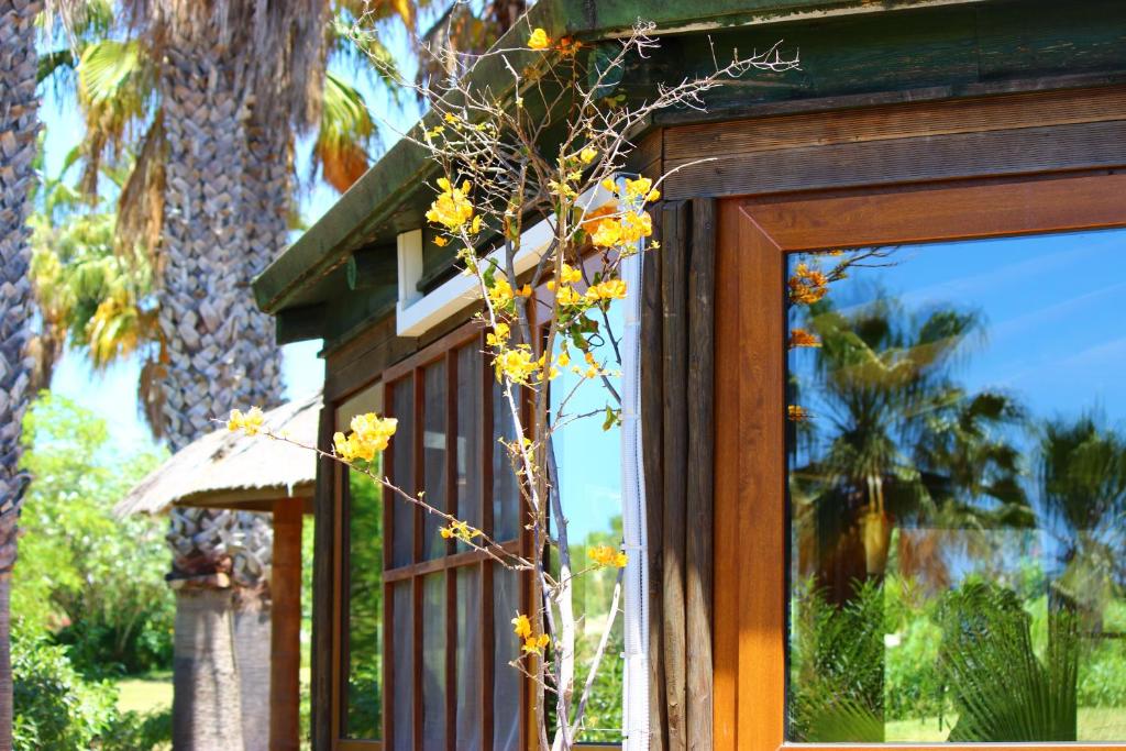 Quinta do Mar Country & Sea Village viesnīcas logs ar ziediem un palmu foniem