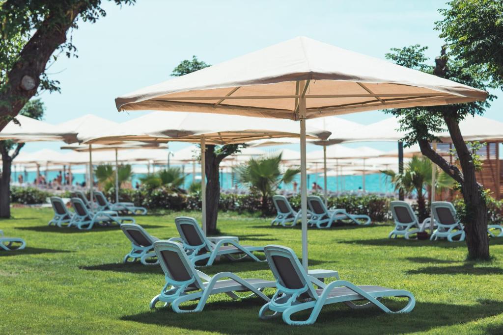 Atpūtas krēsli zem saules jumta pie viesnīcas Paloma Orenda