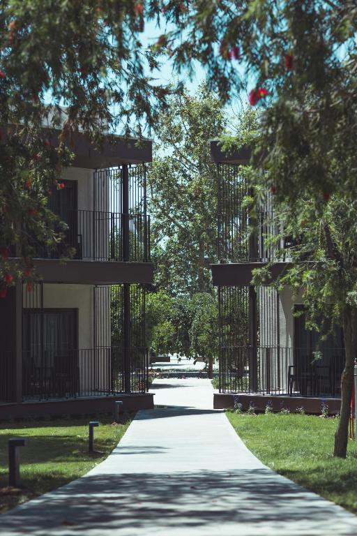 Mierspilnu celiņš starp Paloma Orenda numuriem ar zaļo dabu apkārt.