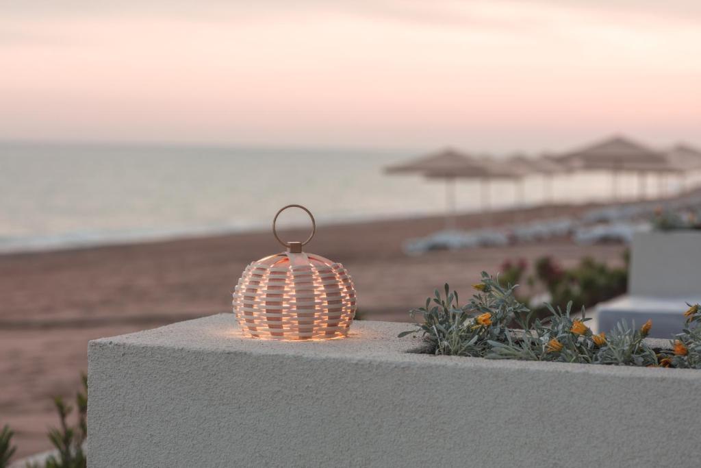 Romantiska laterna piekrastē, viesnīcā Paloma Orenda.