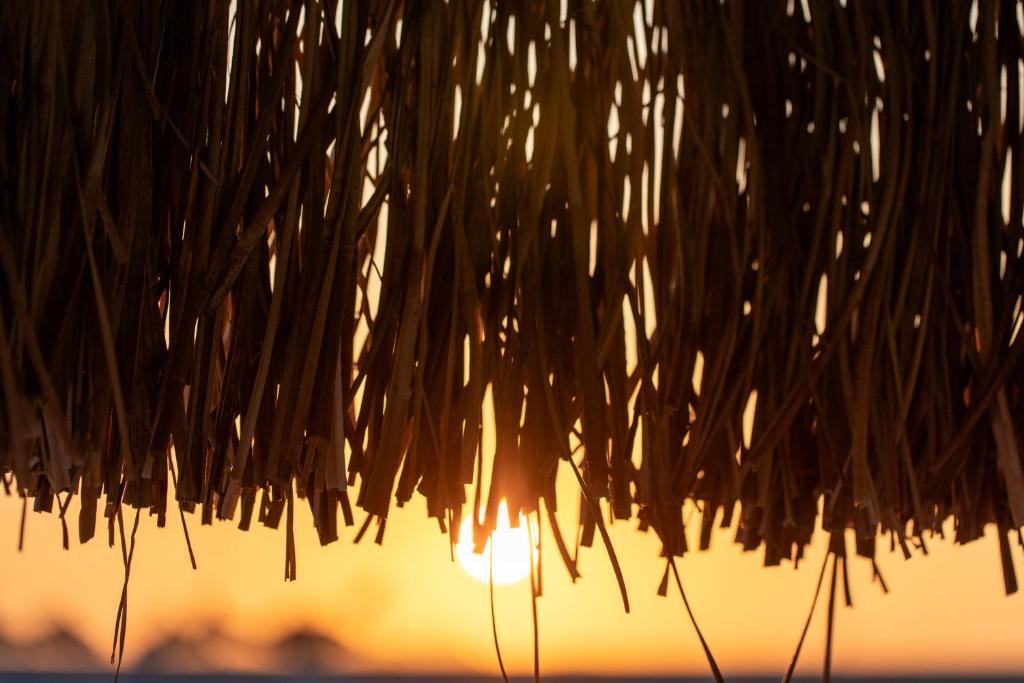 Saulriets pie La Blanche Resort & Spa, skats caur uz jumtu.