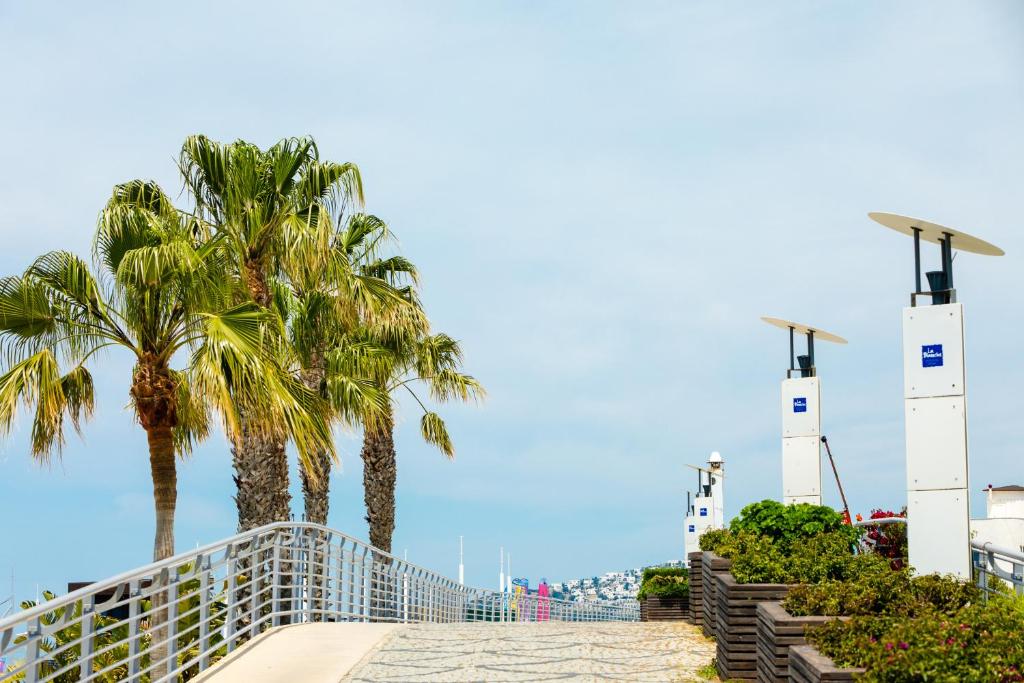 Palmas pie La Blanche Resort & Spa piekrastes pastaigas ceļa.