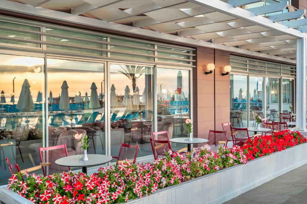 Terase ar ziediem un skatu uz baseinu Corendon Playa Kemer