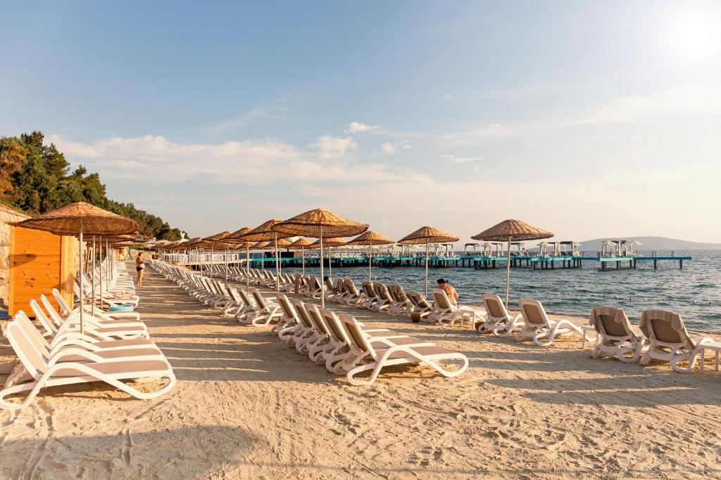 Pludmale ar sauļošanās krēsliem pie viesnīcas Duja Bodrum
