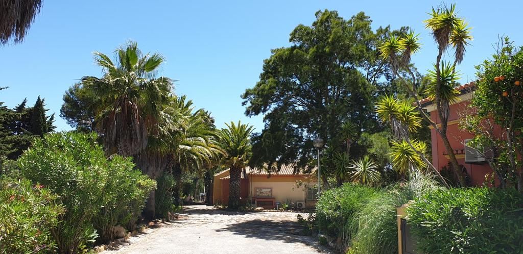 Ceļš, kas ved uz Quinta do Mar Country & Sea Village, ieskauts palmām.