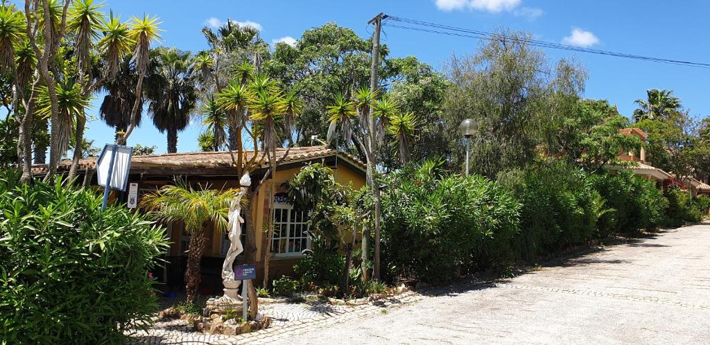 Quinta do Mar Country & Sea Village viesnīca piekrastē ar zaļiem kokiem.
