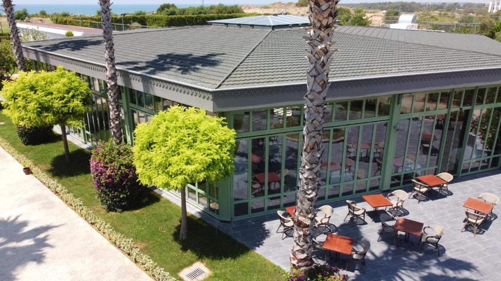 Kafejnīca viesnīcā Magic Life Jacaranda, apzaļumota ar palmām un krēslu komplektiem.