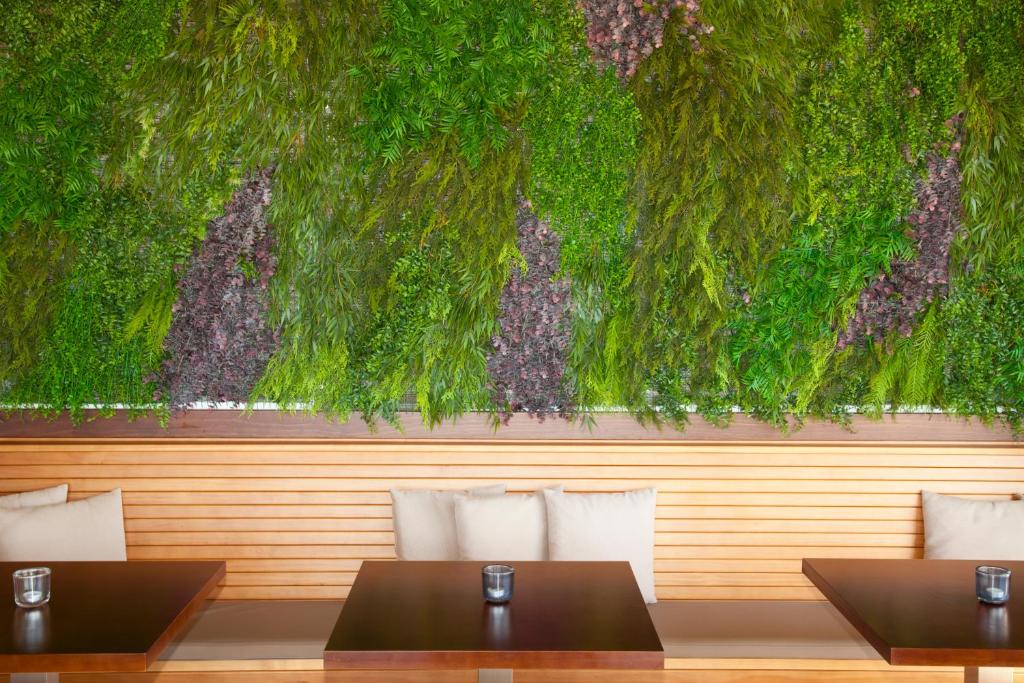 Zaļš augs un koka sienas dizains modernā restorānā, ar ērtām spilvenēm un koka galdiem, radot mierīgu un relaksējošu atmosfēru.