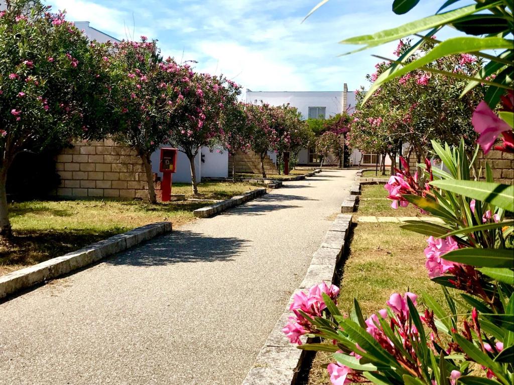 Skaists parks ar rozā ziediem un bruģētu celiņu, kas ved uz ēkām. Gaisma ir saulaina, radot patīkamu atmosfēru.