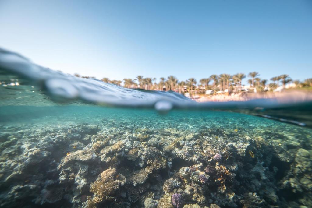 Zemūdens koraļļu rifs un pludmales skats pie Four Seasons Resort Sharm El Sheikh