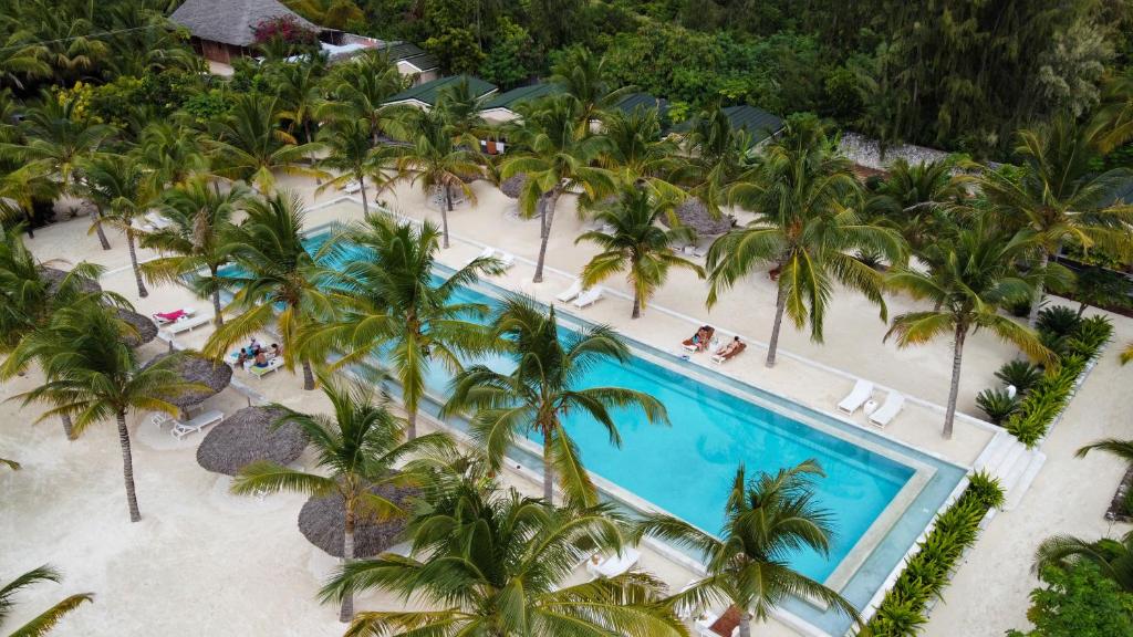 Mwezi Boutique Resort baseins ar palmu ieskautu teritoriju.