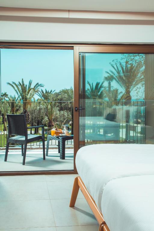 Numurs ar terasi, skats uz palmām, Paloma Orenda viesnīcā.