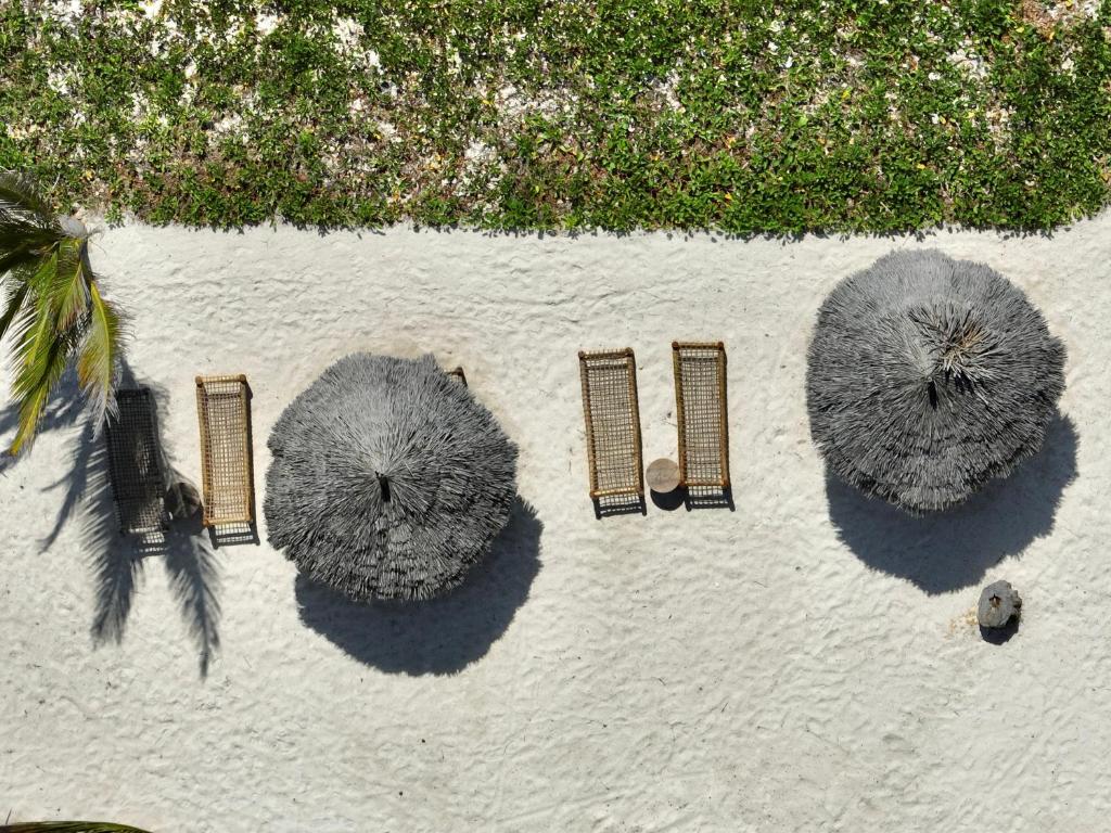 Zula Zanzibar pludmales atpūtas zona ar sauļošanās krēsliem