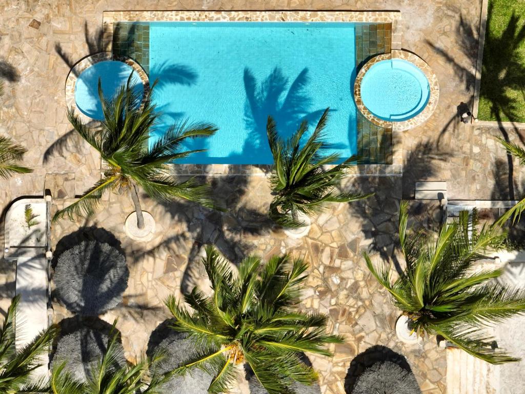 Zula Zanzibar baseins ar palmu ēnām