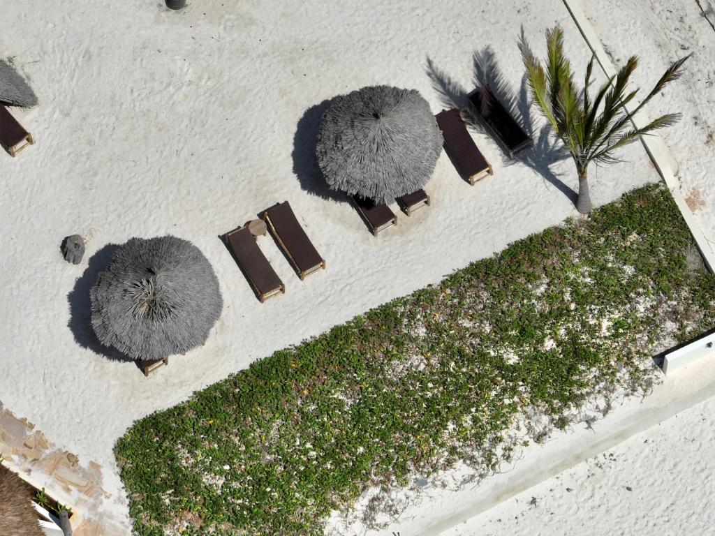 Pludmales atpūtas zona Zula Zanzibar ar saulessargiem