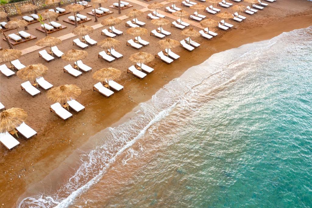 Rubi Platinum viesnīca piekrastē ar sauļošanās gultām un palmām