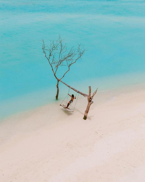 Kāds cilvēks šūpojas uz šūpuļa zem koka, blakus skaistai pludmalei ar tīru zilo ūdeni.