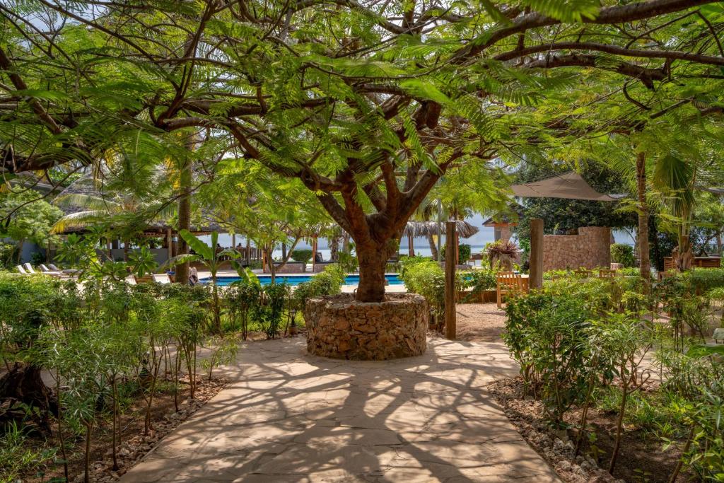 Michamvi Sunset Bay dārzs ar baseinu piekrastē.