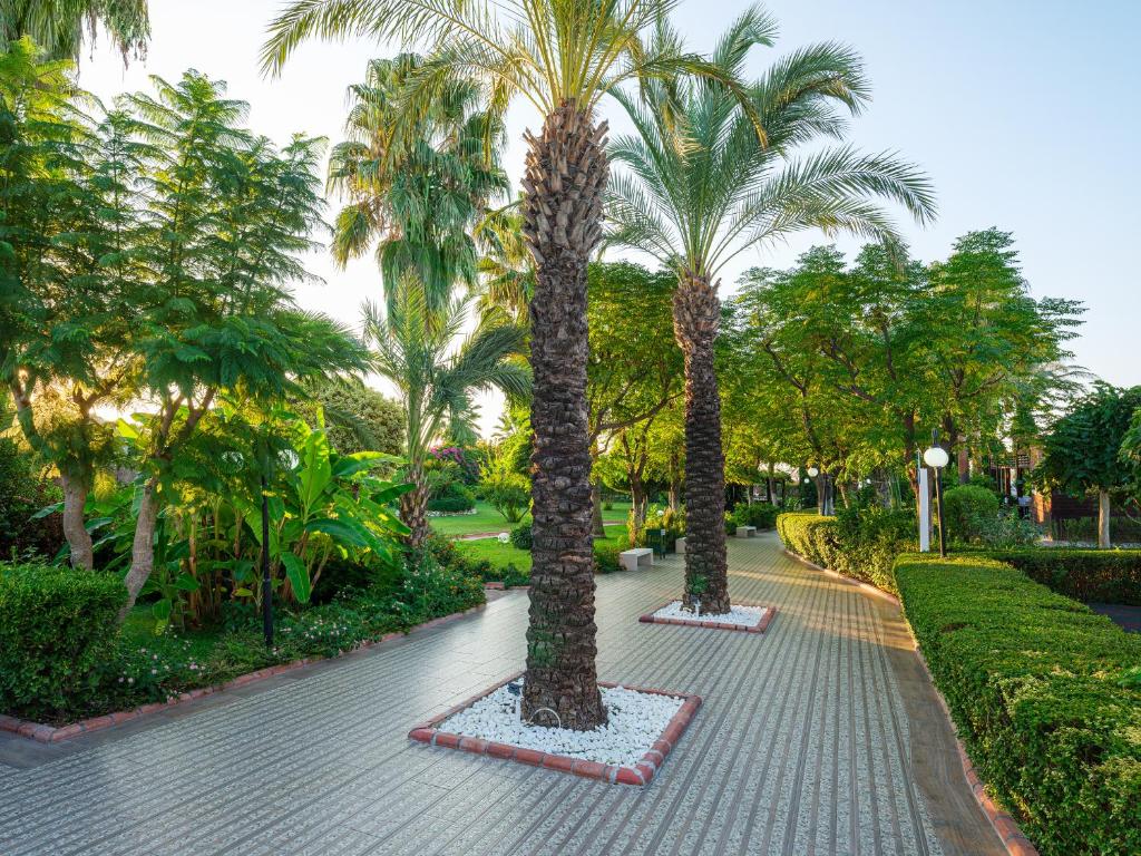 Zaļš parks ar palmām pie Aydinbey Famous Resort