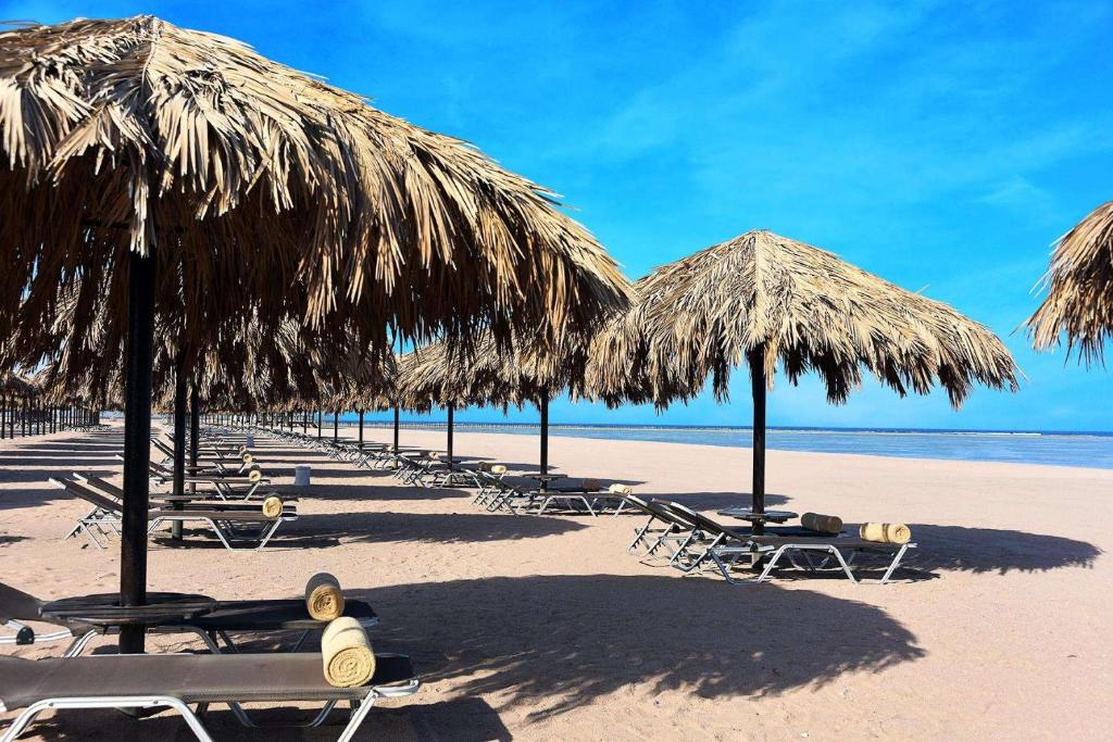 Vasaras saulainā pludmale ar saulessargiem un atpūtas krēsliem, Steigenberger Alcazar