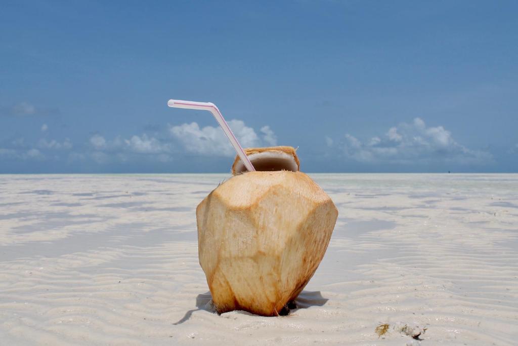 Kokosrieksts pludmalē pie Mahali Zanzibar.