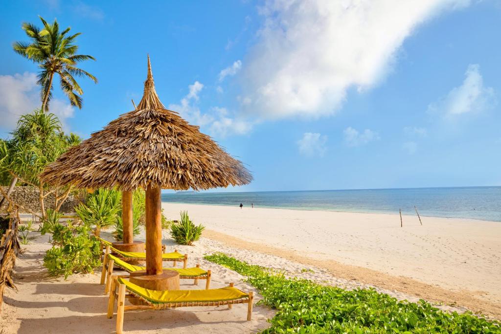 Vasaras pludmale ar palmām un sauļošanās krēsliem AHG Sun Bay Mlilile Beach
