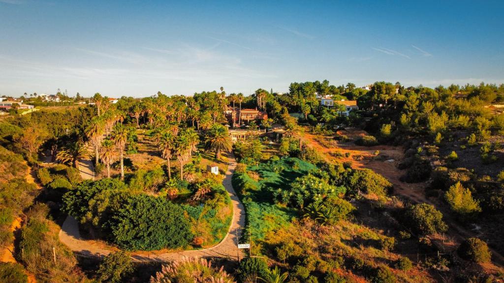 Parka ainava pie Quinta do Mar Country & Sea Village ar palmām un zaļajiem laukiem.