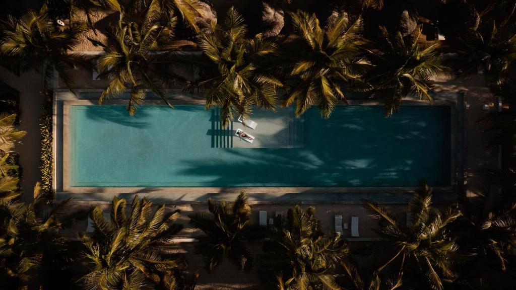 Mwezi Boutique Resort peldbaseins zem palmām