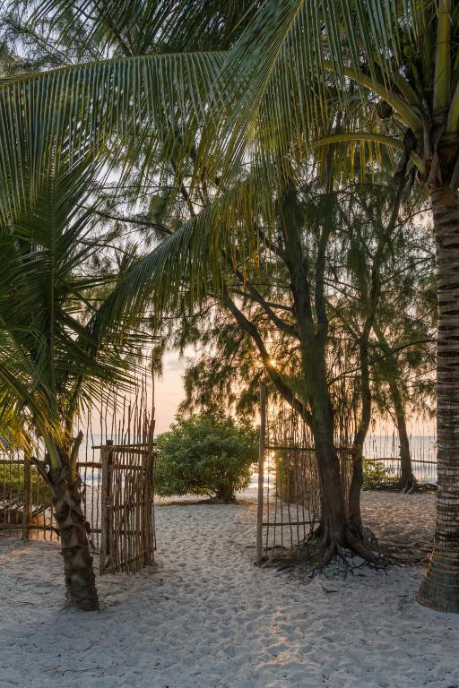 Mwezi Boutique Resort pludmales piekraste ar palmu kokiem.
