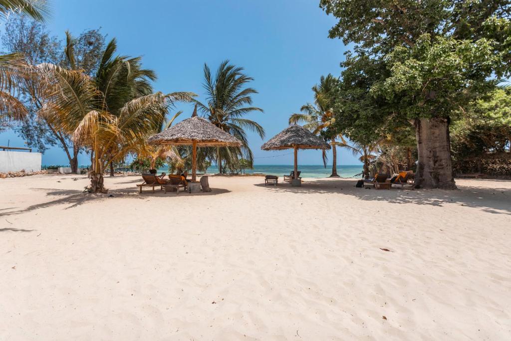 Fun Beach Zanzibar pludmale ar palmu ēnām un saulessargiem.