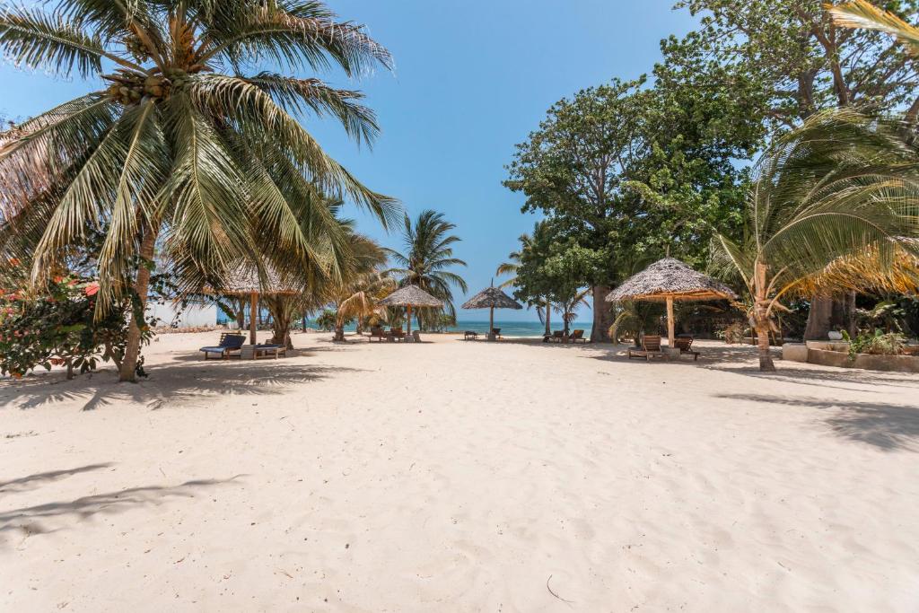 Fun Beach Zanzibar pludmale ar palmu un sauļošanās krēsliem