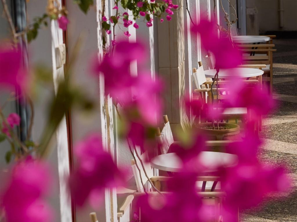 Grecotel Plaza Beach House dārza terase ar rozā ziediem.