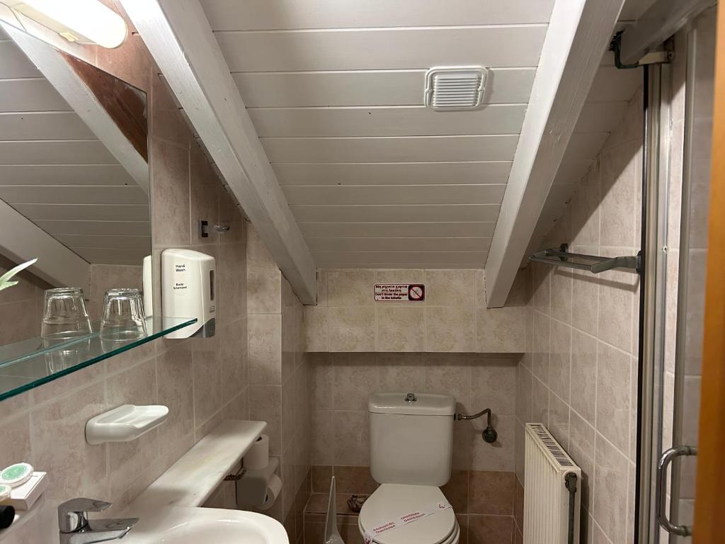 Vannas istaba ar zemām griestiem, kurā redzama tualete, izlietne un spogulis, kā arī sanitārās preces un higiēnas piederumi.