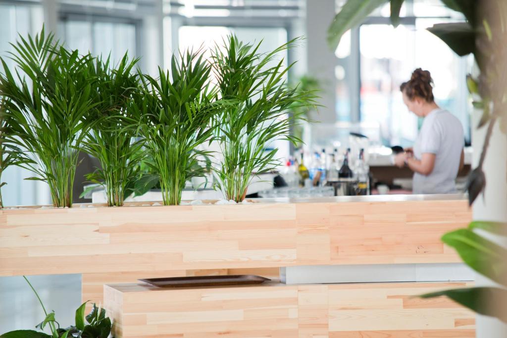 Selene Beach and Spa Hotel elegantā reģistratūra ar zaļiem augiem