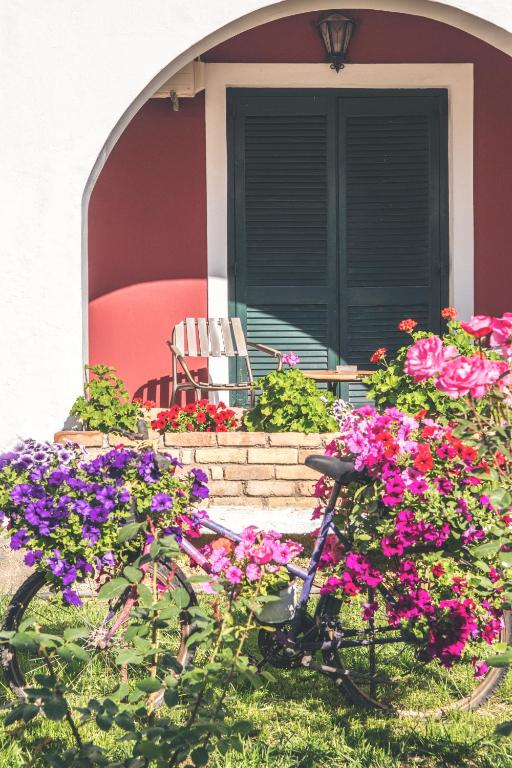 Krāsains velosipēds, kas rotāts ar ziediem, atrodas priekšā mājai ar sarkanu sienu un zaļām durvīm, radot idillisku un viesmīlīgu atmosfēru.