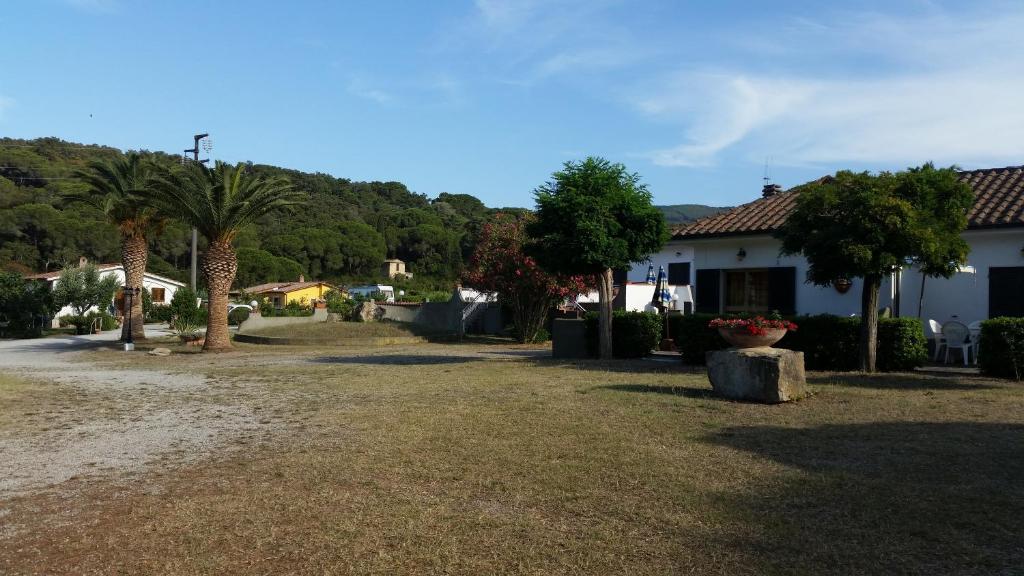 Klusā lauku ainava ar palmām un mājām, kas ieskautas zaļumos, radot mierīgu atmosfēru. Ideāli piemērota atpūtai un dabas baudīšanai.