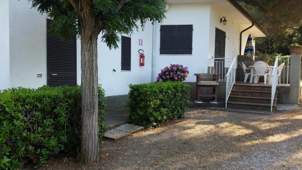 Mājas eksterjers ar zaļām krūmiem un puķu podiem, blakus terasei ar galdu un krēsliem. Svaiga un mierīga apkārtne, ideāla atpūtai.