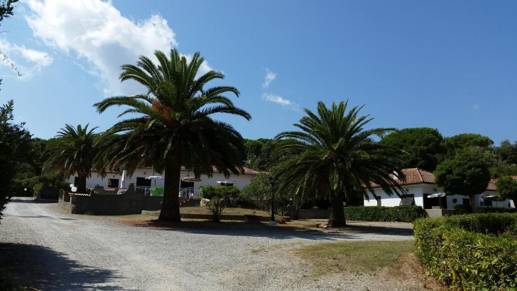 Vasaras māja ar palmu kokiem, kas izvietoti blakus ceļam, skaidrā zilā debesī. Apzaļumota teritorija un saulains laiks rada mierīgu atmosfēru.