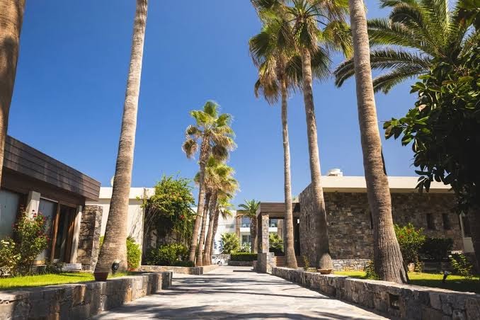 Dessole Malia Beach dārza celiņš ar augstām palmām un akmens mūra ēkām Krētas kūrortā zem skaidrām zilām debesīm