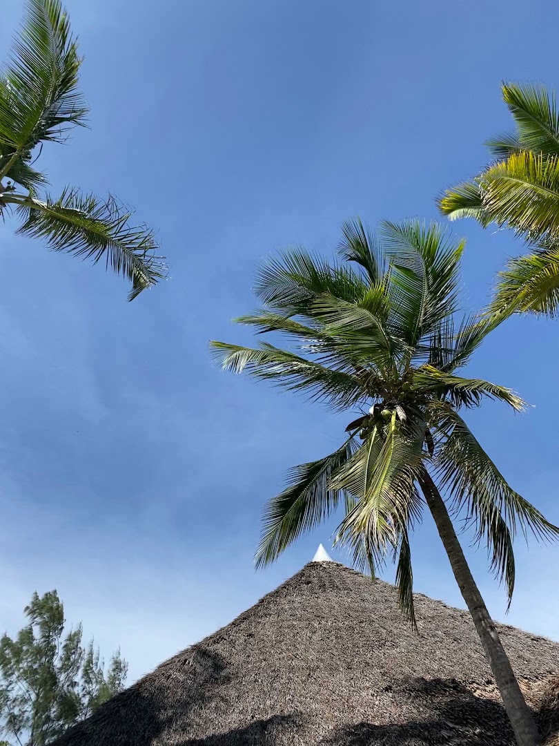PrideInn Paradise Beach Resort & Spa eksotiskais skats uz palmām un tradicionālo salmu jumtu pret zilām debesīm Mombasas piekrastē