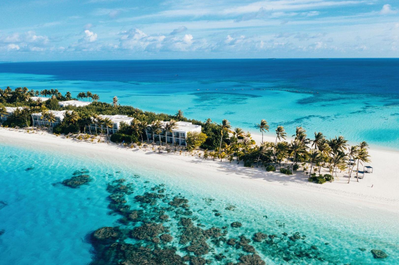 Hotel RIU Atoll pludmales numuri un palmu birzs Maldivu salās — skats uz koraļļu rifu un kristāldzidru ūdeni pie krasta
