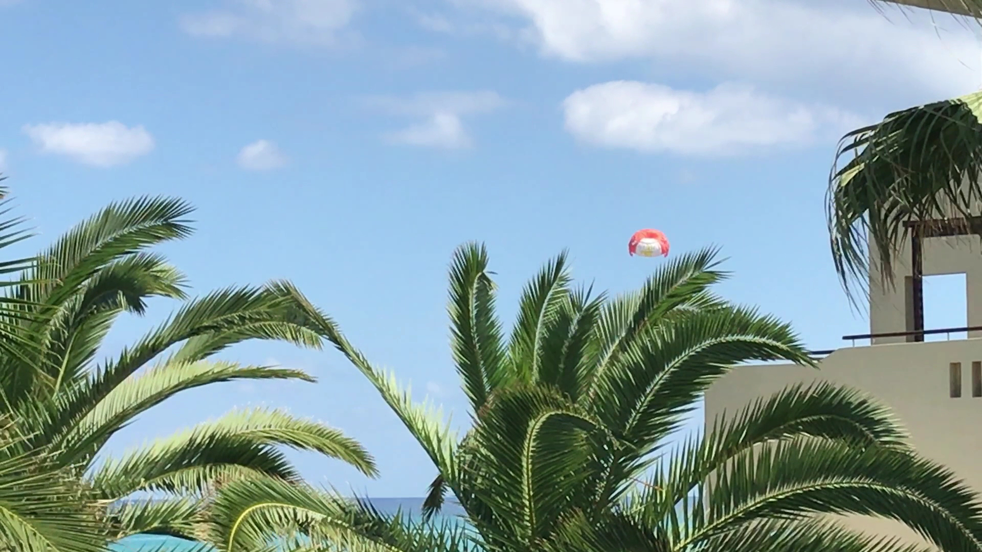 Skats no Eva Bay Hotel teritorijas uz palmām un zilo debesi ar izpletņlēcēju virs jūras piekrastes Krētā
