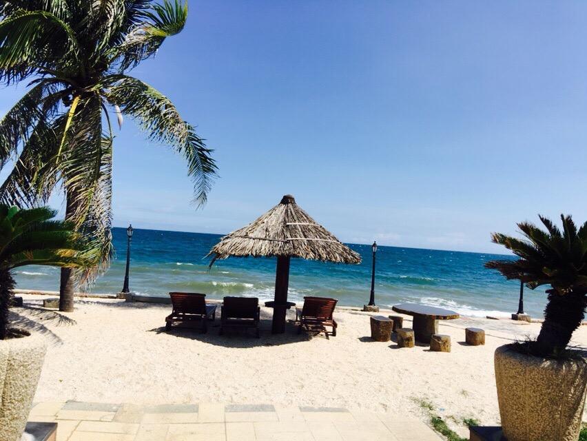 Pludmales ainava ar palmām, ēnainu jumtu un atpūtas krēsliem, kas vērsti pret jūru. Skats uz zilo ūdeni un smilšu pludmali. panoramic view with beach and pools
