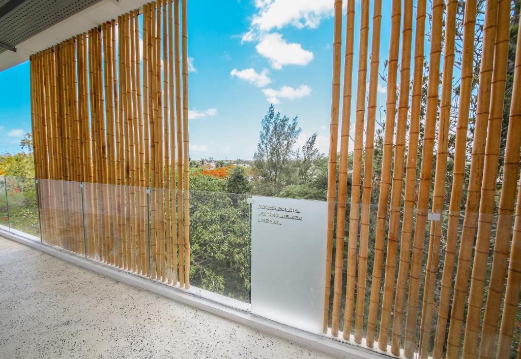 Bambusa žogs ar skatu uz zaļojo dabu pie Ocean V