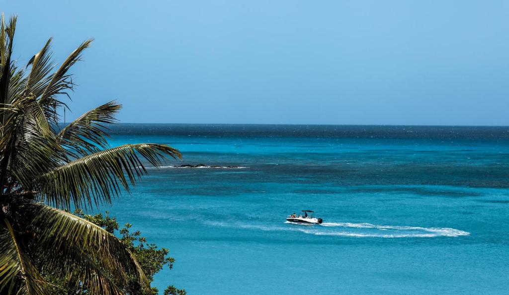 Skats uz jūru ar laivu, Ocean V