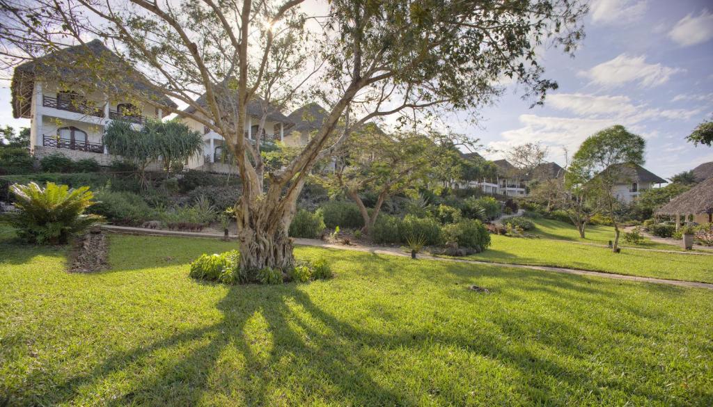 Tropu dārzs pie Bluebay Beach Resort & Spa.