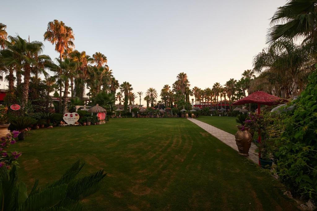 Kluba viesnīcas Sera dārza skats ar palmām un zaļo zāli